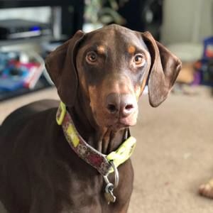 Meet your Posher, Aric